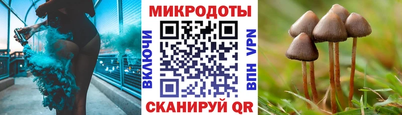 Псилоцибиновые грибы Magic Shrooms  Волжский 